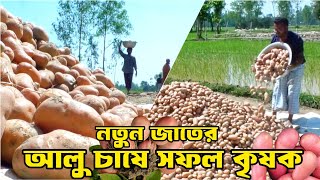 নতুন জাতের আলু চাষে সফল সিরাজগঞ্জের কৃষক। Raaz Agro