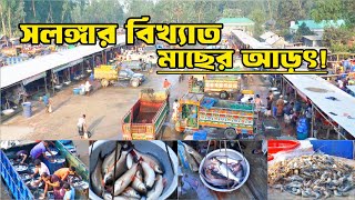 সিরাজগঞ্জের বিখ্যাত তাজা মাছের আড়ৎ। Raaz Agro