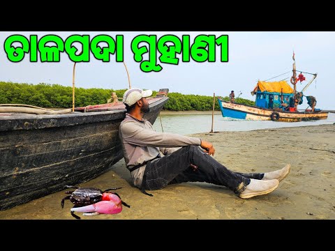 Talapada Beach Gopalpur | Must Visit Place In Balasore |