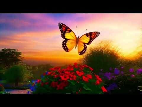 The Friendly Butterfly | A Colorful Journey in the Garden