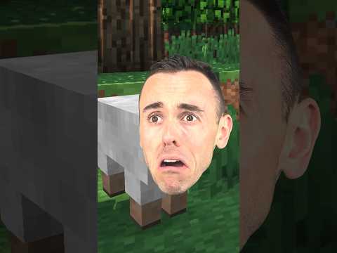 When Minecraft Players Feel Angry…