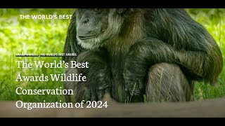 The World's Best Awards Top Wildlife Conservation Organizations of 2024