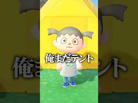 住民に先を越されるとこうなる #shorts #あつまれどうぶつの森 #あつ森