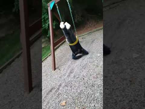 Slo-Mo Swing Fail