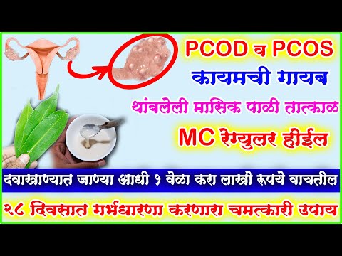 थांबलेली मासिक पाळी तात्काळ येईल PCOD किंवा PCOS गायब फॅलोफीयन टुब मोकळी होईल महिलांसाठी वरदान उपाय