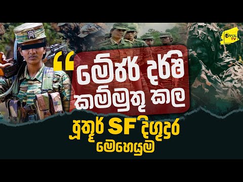 පූතූර් කලු කොටි මේජර් දර්ශි කම්මුතු කල SF දිගුදුර මෙහෙයුම @wanesatv