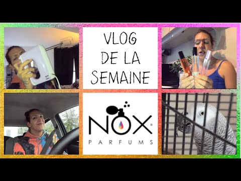 🪻NOUVELLES DÉCOUVERTES NOX PARFUMS + LE COMBAT DU BATTEUR ELECTRIQUE !!