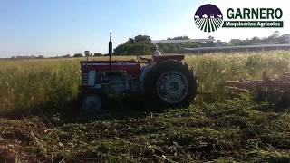 Tractor Massey Ferguson MF 1078 Garnero Maquinarias