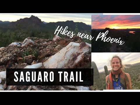 HIKES NEAR PHOENIX - Saguaro Trail at Sunset - Tonto National Forest