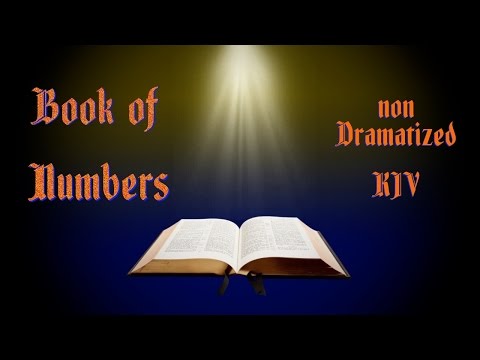 Numbers KJV Audio Bible with Text