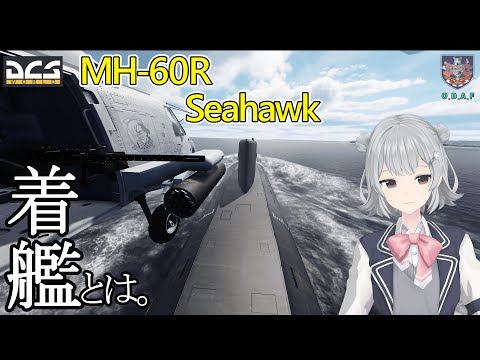 【DCS】MH-60R Seahawk で着艦チャレンジ❗️