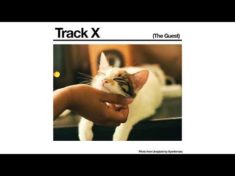 Black Country, New Road - 'Track X (The Guest)' (Official Audio)