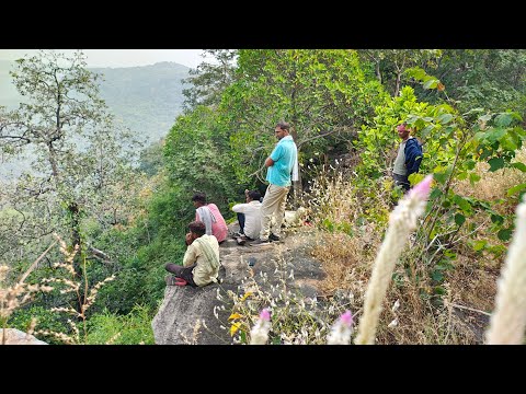 हीरापुर जंगल सफारी (भाग-2) अजयगढ़ पन्ना मध्य प्रदेश.