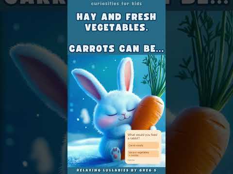 What to feed rabbits?