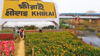 Khirai Flower Garden Tour | Khirai One Day Trip From Kolkata | Khirai Valley of Flowers