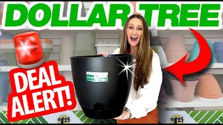 😮Why EVERYONE is grabbing these HUGE PLANTERS from Dollar Tree!  GENIUS outdoor patio DIYs