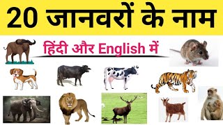 20 Animals Name in Hindi and English with Pictures | 20 जानवरों के नाम | Animals Name in hindi