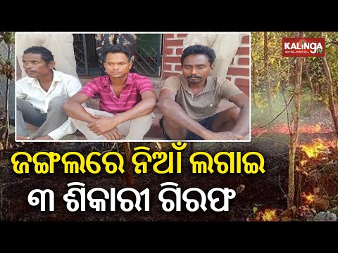 Keonjhar forest officials apprehend 3 poacher for setting fire to forests | Kalinga TV