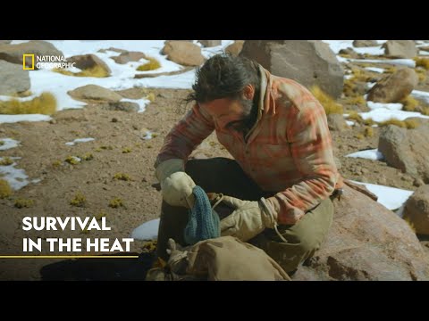 Desert Trek Survival | Primal Survivor | हिंदी | Full Episode | S1 - E5 | Nat Geo