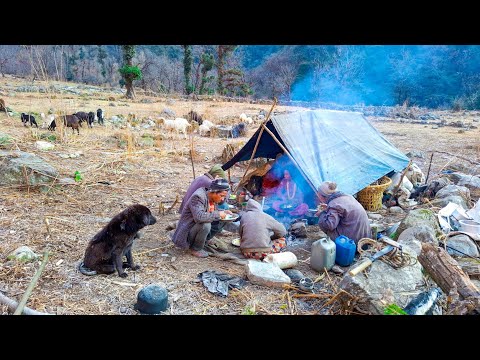 Nepali Nomad Life |Himalayan sheep shepherd Life in winter |typical Nepali Food Dhindo Sisno cooking