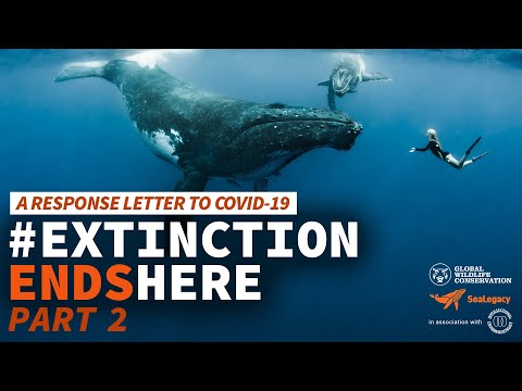 #ExtinctionEndsHere: A Response Letter to COVID-19