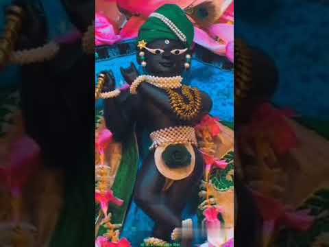 Shri krishna radhe radhe shri hari narayan#shrikrishna#radhe#viral#youtubeshorts