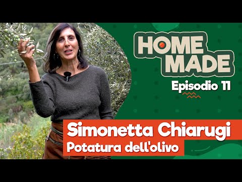 HOME MADE: Potatura dell'olivo