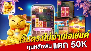 เว็บตรงไม่ผ่านเอเย่นต์ | สล็อตทุน 1000 | สล็อตเว็บตรง ของแท้ !