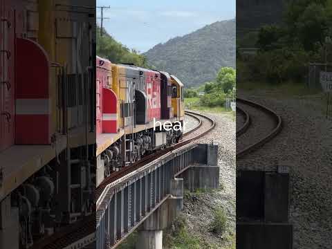 The TranzAlpine … New Zealand’s most scenic train?