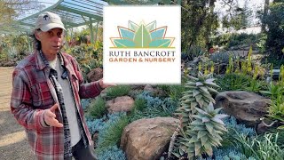 Touring the “Most Beautiful Garden in the World” with the Curator! 🌿 Ruth Bancroft Garden Tour