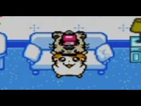 Hamtaro: Ham-Hams Unite! Playthrough Part 7 (FINALE - A Hammy Reunion!)