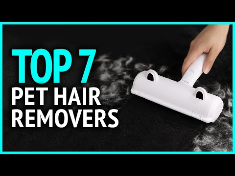 Best Pet Hair Removers 2023 | Top 7 Best Pet Hair Remover for Clothes