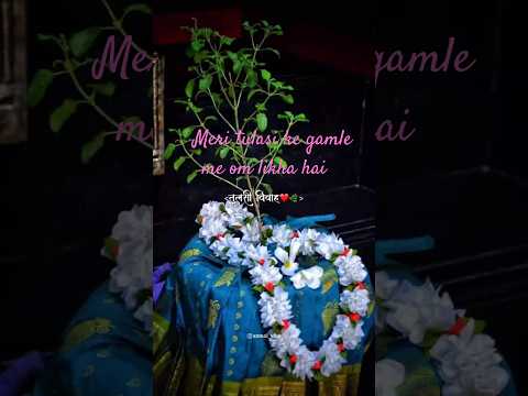 Meri Tulsi ke gamle me om likha hai # bhajantulsivivaah #tulsivivah #song #shortsvideo #youtube