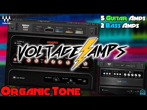 Waves VOLTAGE AMPS ⚡️ 5 Guitar Amps, 2 Bass Amps 🔥 with Organic Tone