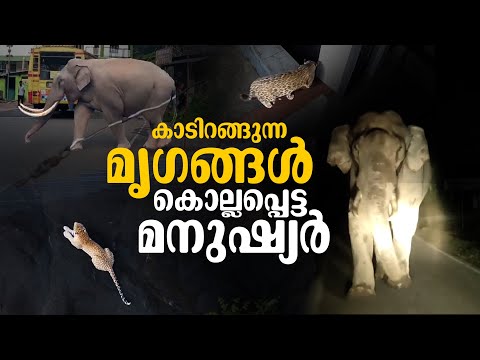 മൃ​ഗങ്ങൾക്ക് മാത്രം പോരാ ഞങ്ങൾക്കും വേണം സംരക്ഷണം | Wild Animal attack