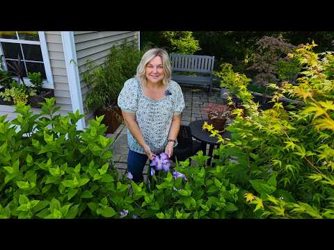 Cut Flower Garden Tour, DIY Weed Killer, Edging Mulching, Nursery Trip & Adding Vego Solar Lights