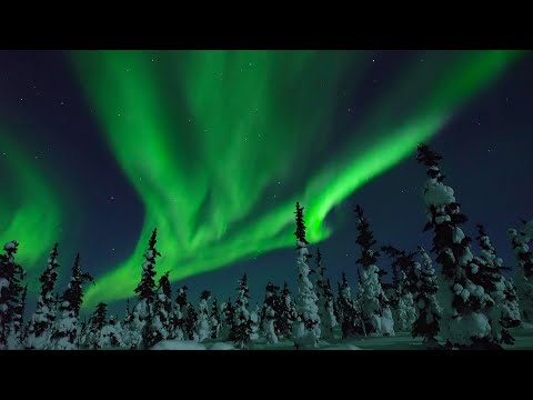 Winter Wonder 2022 - Short 4K Film & Holiday Greetings from Nature Relaxation™