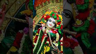 vrindavan ke vo baake bihari #krishnajikabhajan #krishnasong