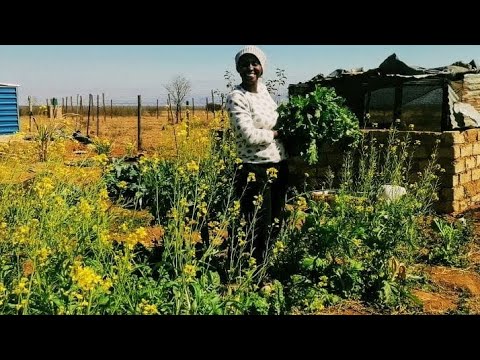 #asmr day in my South African village life | Cooking, preserving & Homesteading