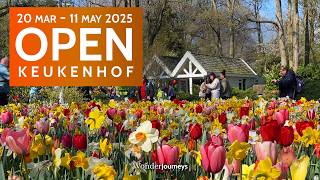 Keukenhof 2025 OPEN 🌷March 20 - May 11 [4K]