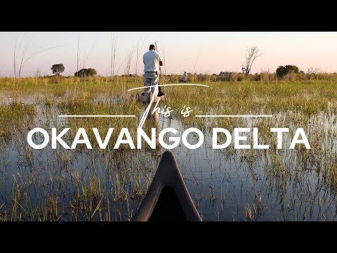 Okavango Delta, Botswana | Safari365