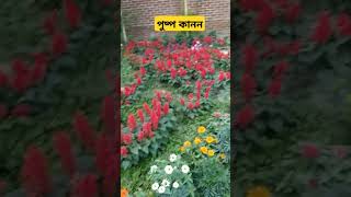 #ফুল #ফুলেরবাগান #ফুলের_বাগান #flower #flower_garden