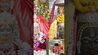 जय श्री महाकाल संध्या काल दर्शन #श्री_महाकालेश्वर_ज्योतिर्लिंग_उज्जैन #shortvideo #mahakaal #ujjain