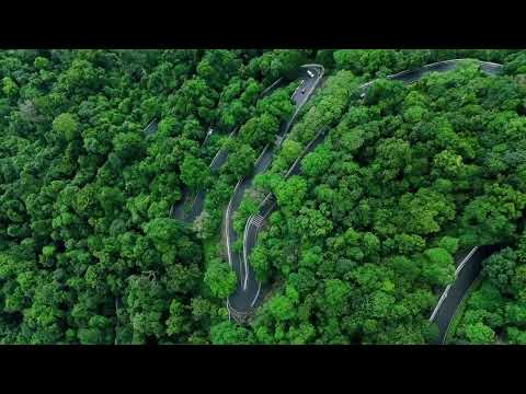 Experience the amazing monsoon of Agumbe | Karnataka