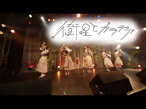 衛星とカラテア 2024/08/15@ NEO合戦2024 HASHIRA STAGE