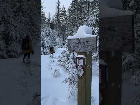 My first winter hike in Montana ⛄️ #hiking