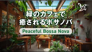 緑のカフェで癒されるボサノバ『Peaceful Bossa Nova』〜仕事・勉強・作業用Chillout Music【集中力アップ】 #作業用 #勉強用 #集中 #chill #chillout