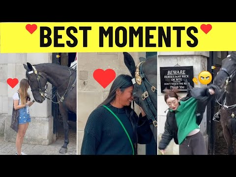 King's Guard Horse Best Moments, Royal Guard Horse Best Moments