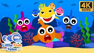 Little Fish doo doo doo | Baby Shark | Little Fish Tales | #babyshark #fish