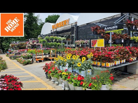 Home Depot 50% off Clearance 4th of July Sale! Hydrangeas, Roses, Trees & Shrubs! Home Depot Plants